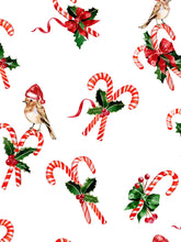 Load image into Gallery viewer, Candy Cane Short Pajamas