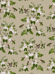Tan Hummingbird Indoor Fabric