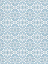 Load image into Gallery viewer, Ice Blue Filigree Indoor Fabric

