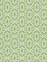 Load image into Gallery viewer, Green Filigree Indoor Fabric
