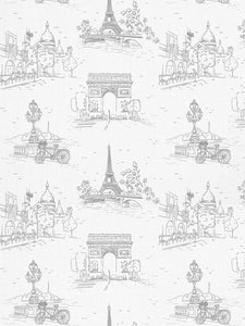 Grey Paris Indoor Fabric